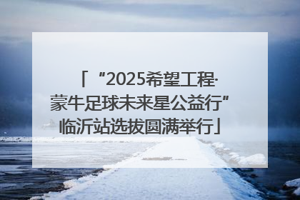 “2025希望工程·蒙牛足球未来星公益行”临沂站选拔圆满举行