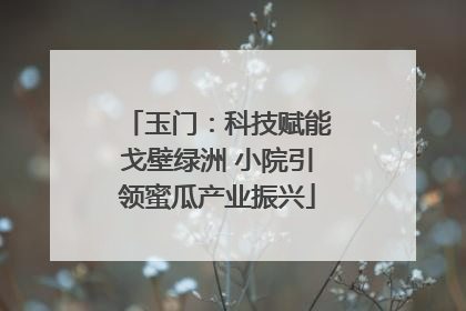 玉门：科技赋能戈壁绿洲 小院引领蜜瓜产业振兴