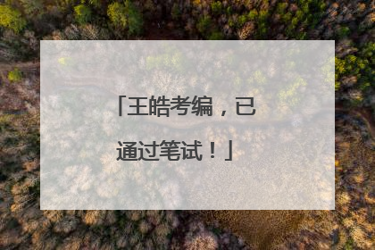 王皓考编，已通过笔试！