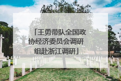 王勇带队全国政协经济委员会调研组赴浙江调研