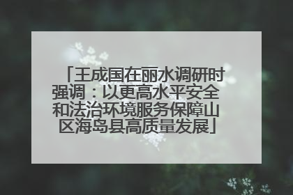 王成国在丽水调研时强调：以更高水平安全和法治环境服务保障山区海岛县高质量发展