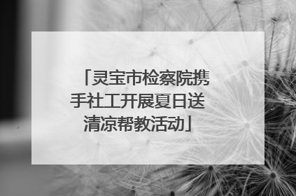灵宝市检察院携手社工开展夏日送清凉帮教活动