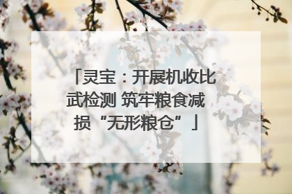 灵宝：开展机收比武检测 筑牢粮食减损“无形粮仓”