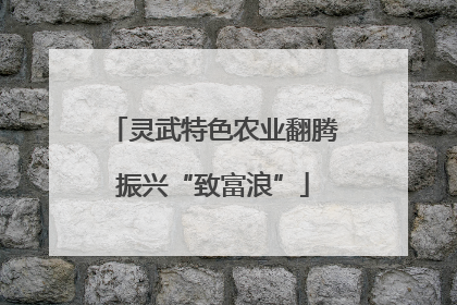 灵武特色农业翻腾振兴“致富浪”