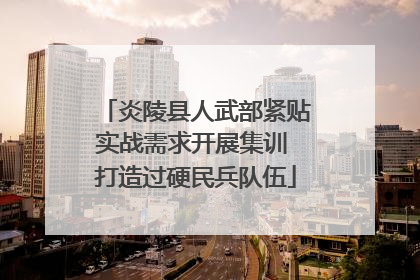 炎陵县人武部紧贴实战需求开展集训 打造过硬民兵队伍