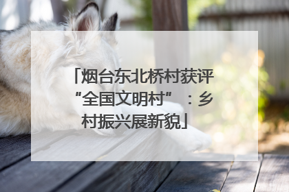烟台东北桥村获评“全国文明村”：乡村振兴展新貌
