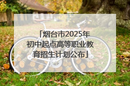 烟台市2025年初中起点高等职业教育招生计划公布