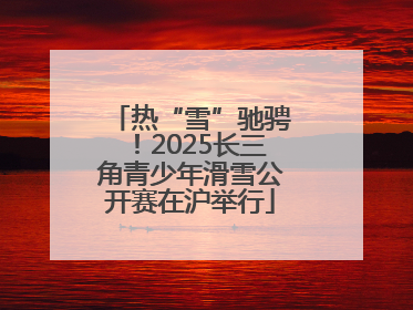 热“雪”驰骋！2025长三角青少年滑雪公开赛在沪举行