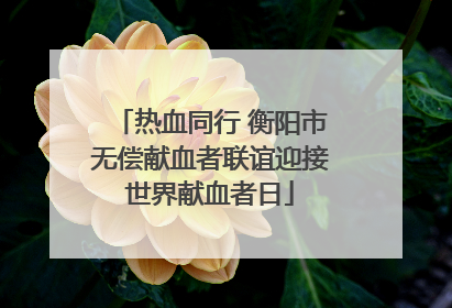 热血同行 衡阳市无偿献血者联谊迎接世界献血者日