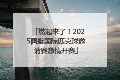 燃起来了！2025鹤壁国际匹克球邀请赛激情开赛