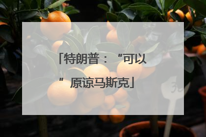 特朗普：“可以”原谅马斯克