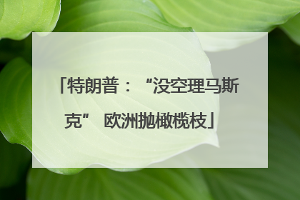 特朗普：“没空理马斯克” 欧洲抛橄榄枝