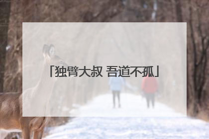 独臂大叔 吾道不孤