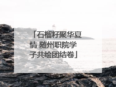 石榴籽聚华夏情 随州职院学子共绘团结卷