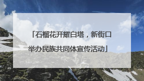 石榴花开耀白塔，新街口举办民族共同体宣传活动