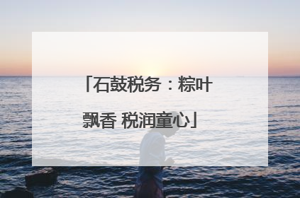 石鼓税务：粽叶飘香 税润童心