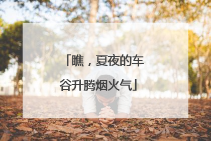 瞧，夏夜的车谷升腾烟火气