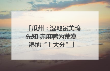瓜州：湿地景美鸭先知 赤麻鸭为荒漠湿地“上大分”