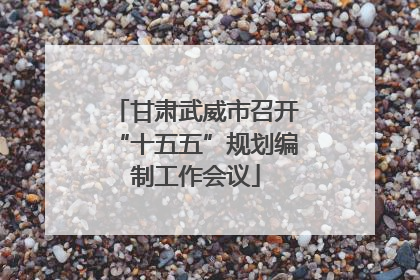 甘肃武威市召开“十五五”规划编制工作会议