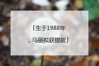 生于1988年，马丽拟获提拔