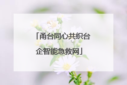 甬台同心共织台企智能急救网