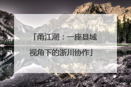 甬江潮：一座县域视角下的浙川协作