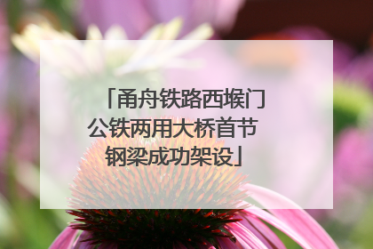 甬舟铁路西堠门公铁两用大桥首节钢梁成功架设