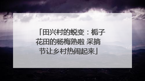 田兴村的蜕变：栀子花田的杨梅熟啦 采摘节让乡村热闹起来