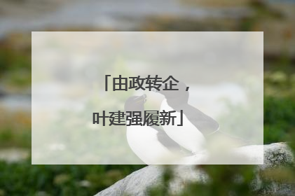 由政转企，叶建强履新
