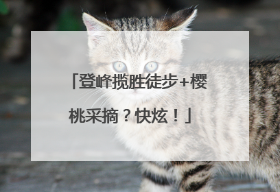 登峰揽胜徒步+樱桃采摘？快炫！