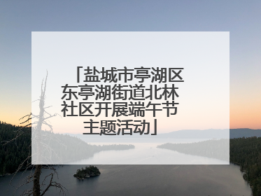 盐城市亭湖区东亭湖街道北林社区开展端午节主题活动