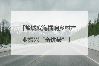 盐城滨海擂响乡村产业振兴“奋进鼓”