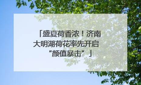 盛夏荷香浓！济南大明湖荷花率先开启“颜值暴击”