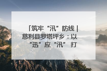 筑牢“汛”防线｜慈利县罗塔坪乡：以“迅”应“汛” 打赢暴雨防御战