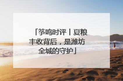 筝鸣时评丨夏粮丰收背后，是潍坊全城的守护