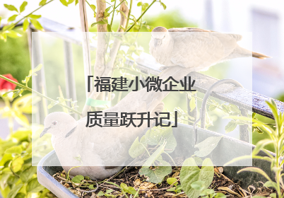 福建小微企业质量跃升记