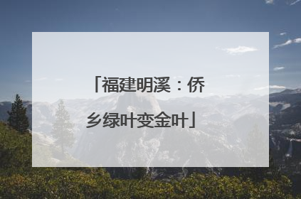 福建明溪：侨乡绿叶变金叶