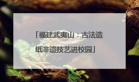 福建武夷山：古法造纸非遗技艺进校园