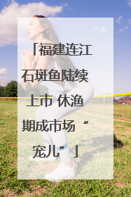 福建连江石斑鱼陆续上市 休渔期成市场“宠儿”
