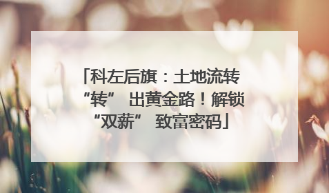 科左后旗：土地流转 “转” 出黄金路！解锁 “双薪” 致富密码