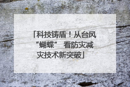 科技铸盾！从台风“蝴蝶” 看防灾减灾技术新突破