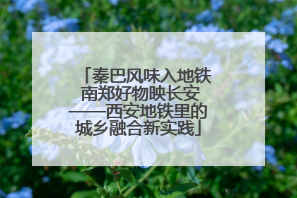 秦巴风味入地铁 南郑好物映长安——西安地铁里的城乡融合新实践
