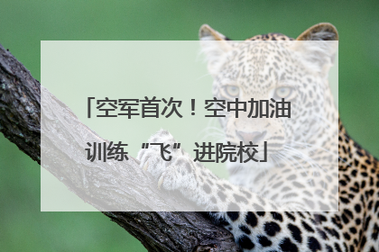 空军首次！空中加油训练“飞”进院校