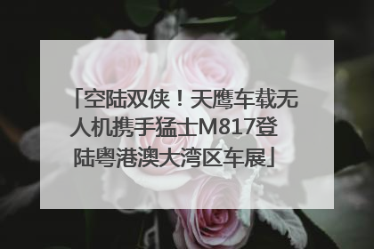 空陆双侠！天鹰车载无人机携手猛士M817登陆粤港澳大湾区车展