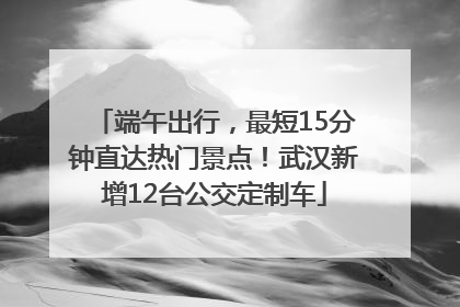 端午出行，最短15分钟直达热门景点！武汉新增12台公交定制车