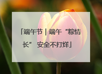 端午节｜端午“粽情长” 安全不打烊