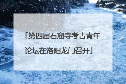 第四届石窟寺考古青年论坛在洛阳龙门召开