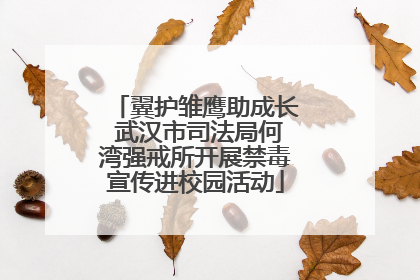 翼护雏鹰助成长 武汉市司法局何湾强戒所开展禁毒宣传进校园活动