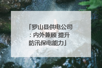 罗山县供电公司：内外兼顾 提升防汛保电能力