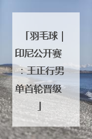 羽毛球｜印尼公开赛：王正行男单首轮晋级